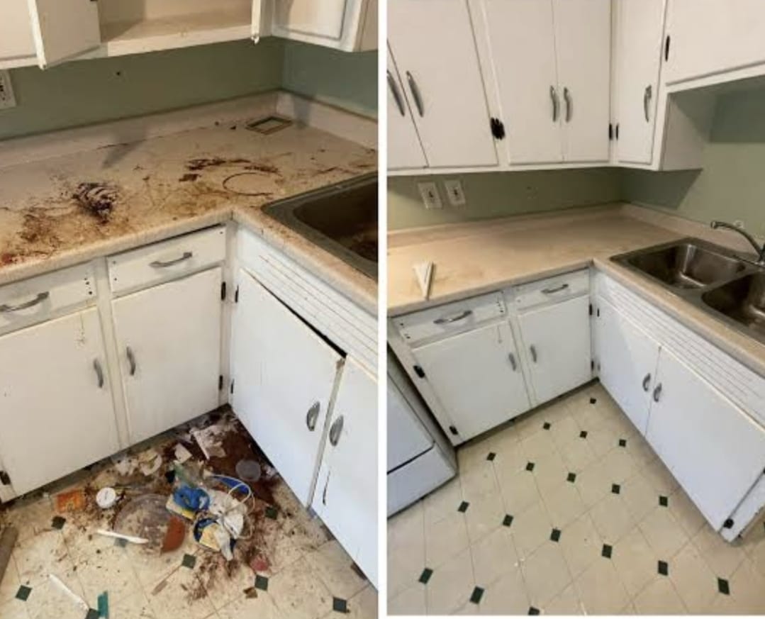 Before after cleaning result 17